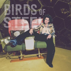 Birds of Steel