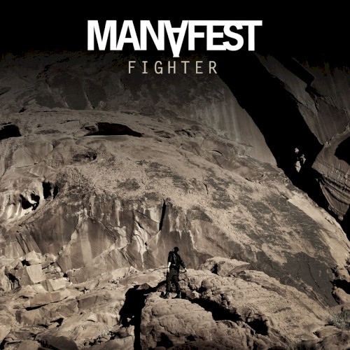 Fighter (remix)