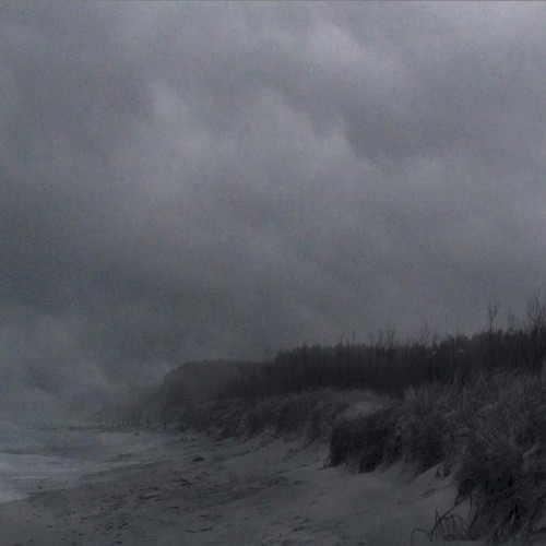 The Critical State of Loneliness
