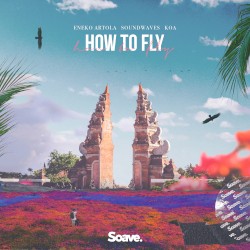 How To Fly
