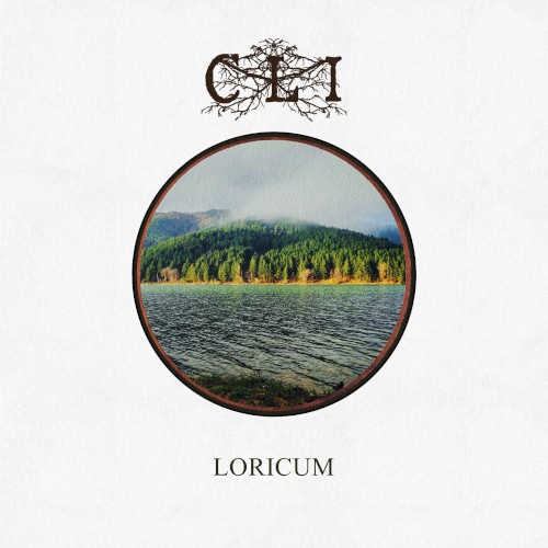 Loricum