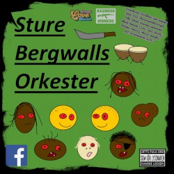 Sture Bergwalls Orkester