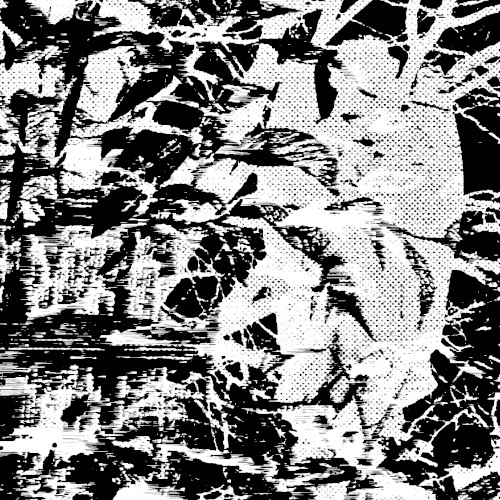 Maggot Swarms