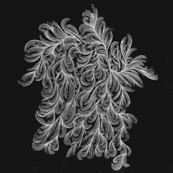 NFJM 030