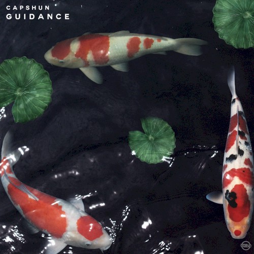 Guidance