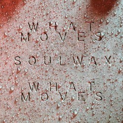 What Moves (Soulwax Remix)