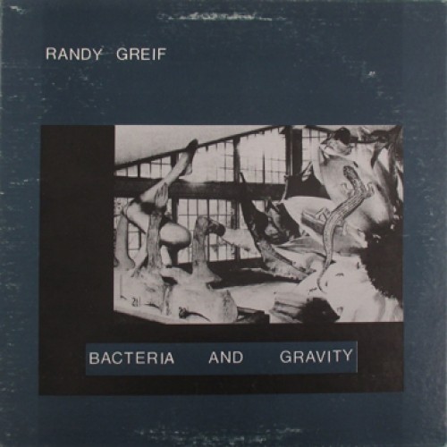 Bacteria And Gravity