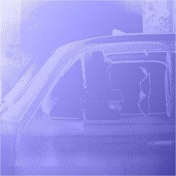 Shiny Night Drive