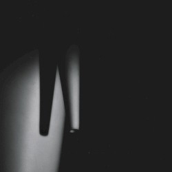 In the Shadow, In the Light