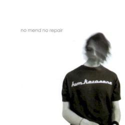 No Mend No Repair