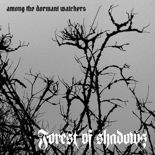 Among the Dormant Watchers