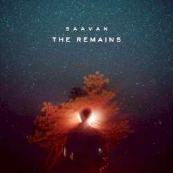 The Remains (A Year’s Worth of Songs)