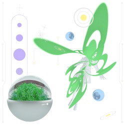 petal genesis