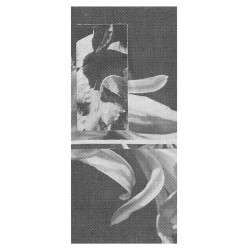 Nathan Ivanco & Beton Tåge