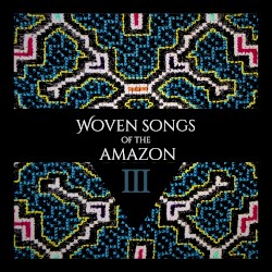 Woven Songs of the Amazon III
