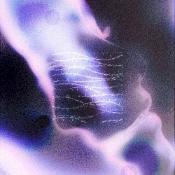 Shimmer