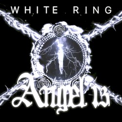 Angel 13 Volume 1