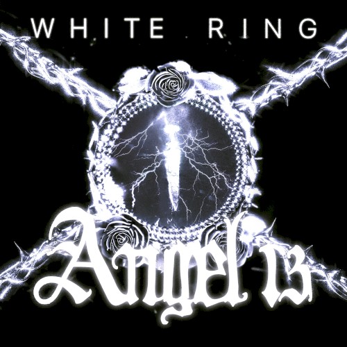 Angel 13 Volume 1