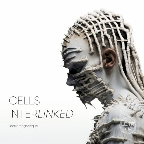Cells Interlinked