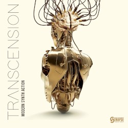 Transcension