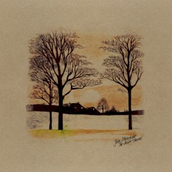 The Durutti Columns