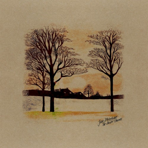 The Durutti Columns