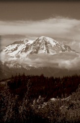 Tahoma