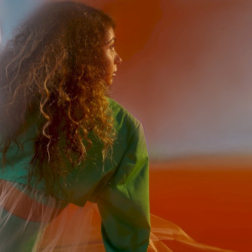 You Let Me Down: The Remixes