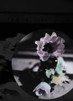 アネモネシネマ 記憶の海