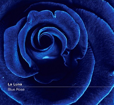 Blue Rose