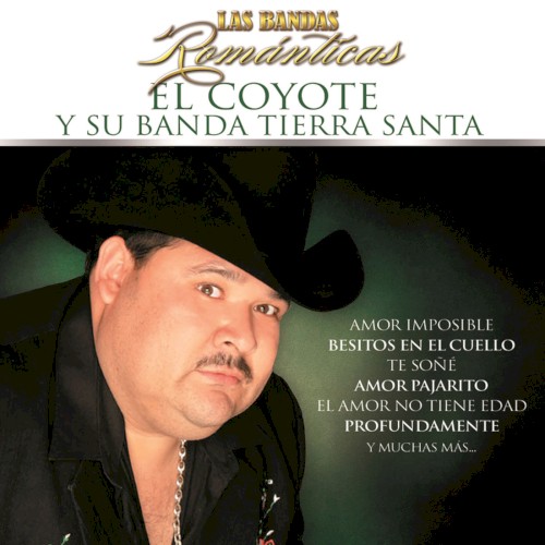 Las bandas románticas
