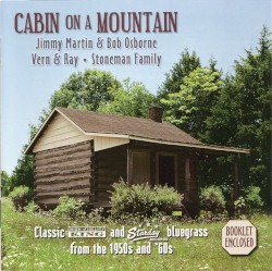 Cabin on a Mountain