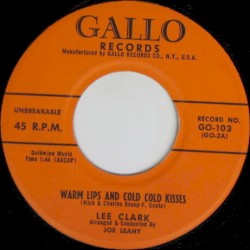 Warm Lips and Cold Cold Kisses / The Songs My Mother Loved
