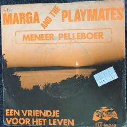 Meneer Pelleboer