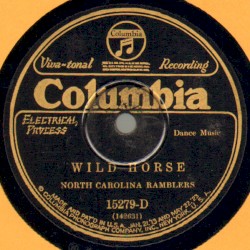 Wild Horse / Mountain Reel