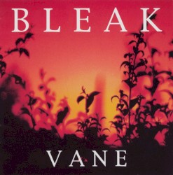 Vane