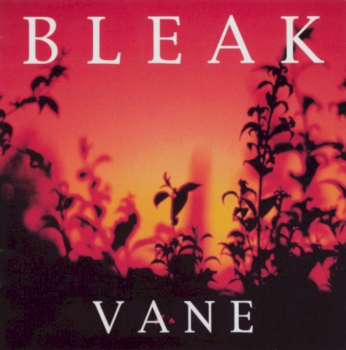 Vane