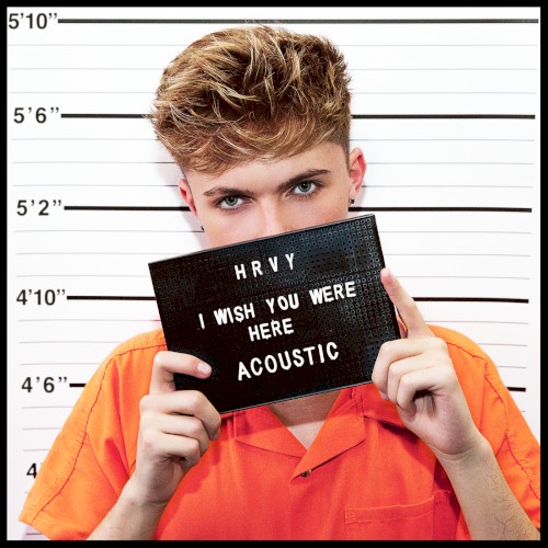 I Wish You Were Here (acoustic)