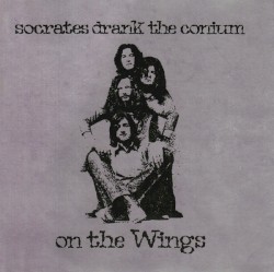 On the Wings