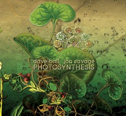 Photosynthesis