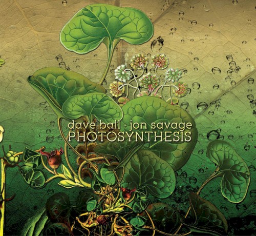Photosynthesis