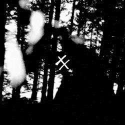 Vein & Rensing