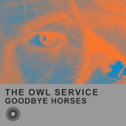 Goodbye Horses