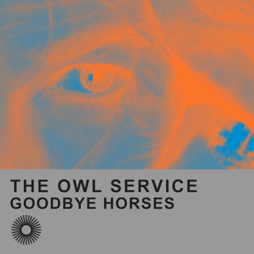 Goodbye Horses