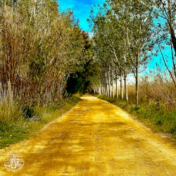 Second Nature