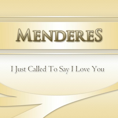 I Just Called to Say I Love You