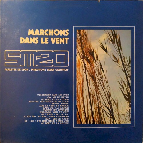 Marchons dans le vent