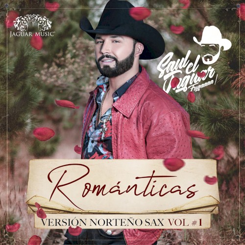 Románticas - version norteño sax, vol. 1