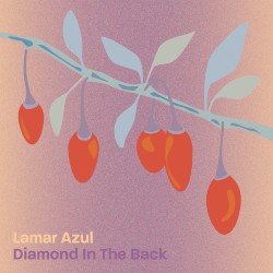 Diamond in the Back