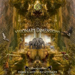 Visionary Dimensions